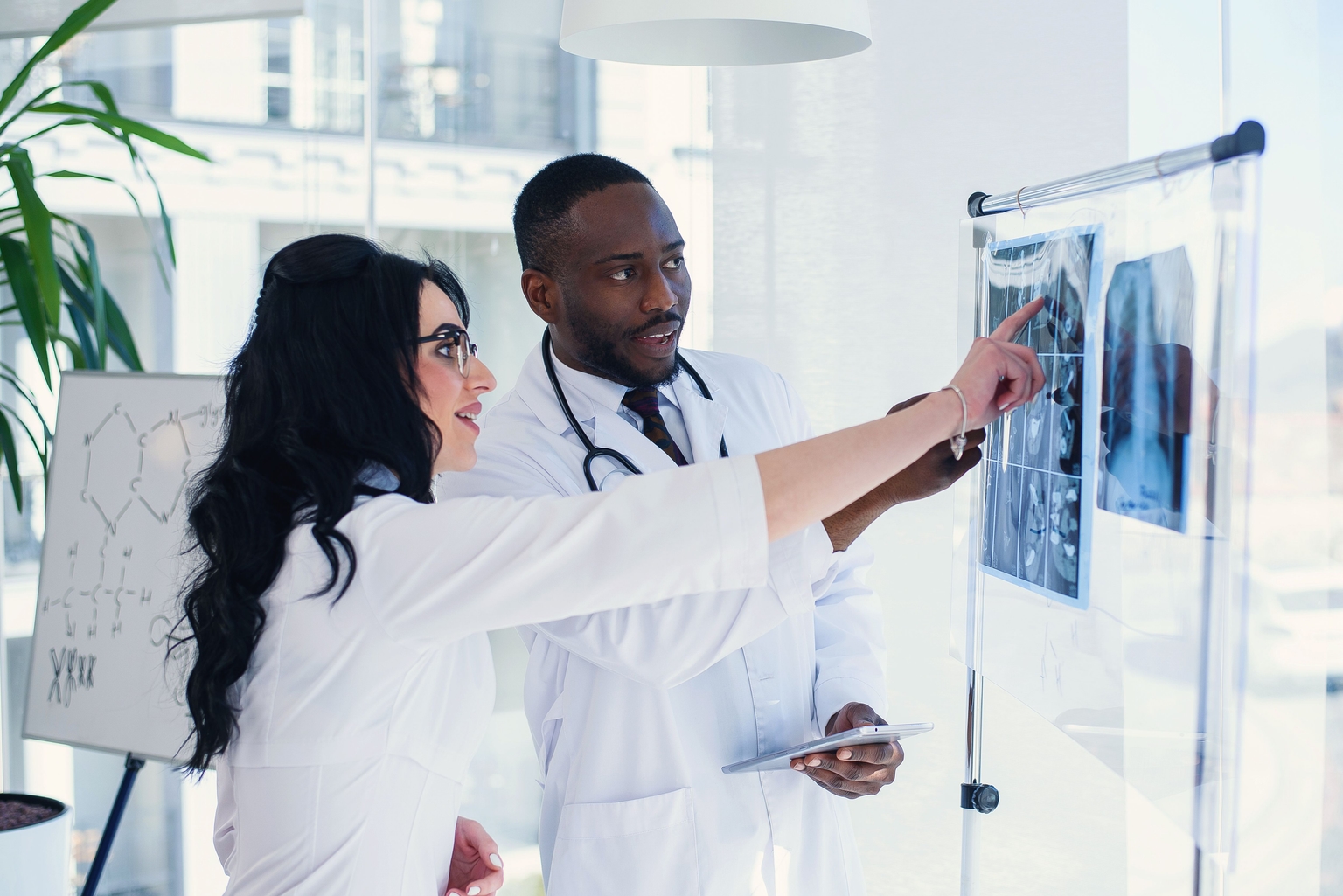 Two X-ray professionals examine images on a transparent board in a bright, modern medical office.