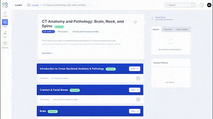 Screen recording of a user navigating the "CT Anatomy and Pathology: Brain, Neck, and Spine" course. They scroll through lessons, expand dropdowns, and click into “Brain” to begin a module.
